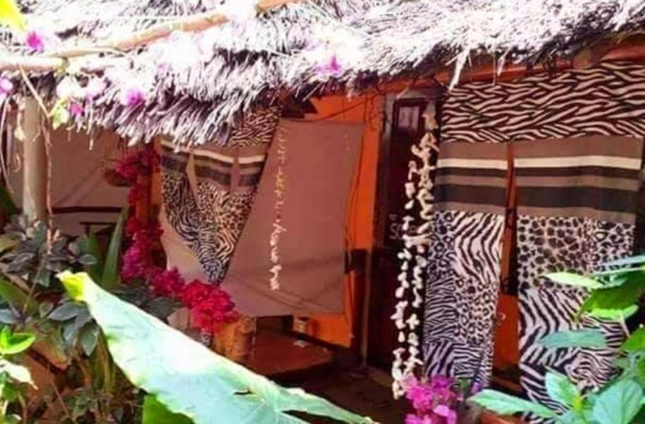 Sipano Beach Lodge Kiwengwa Kiwengwa  Exterior foto